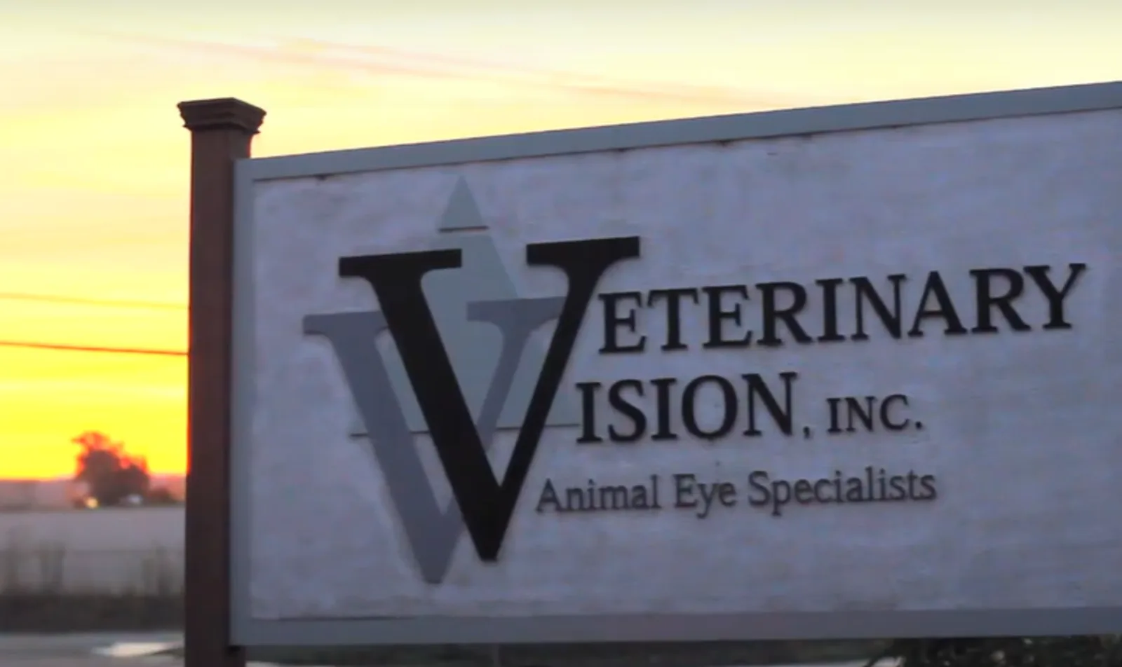 Veterinary Vision Video
